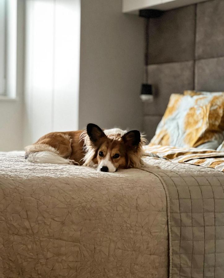Apartament Nadbaltycki Swit - Gdynia Pogorze Zewnętrze zdjęcie
