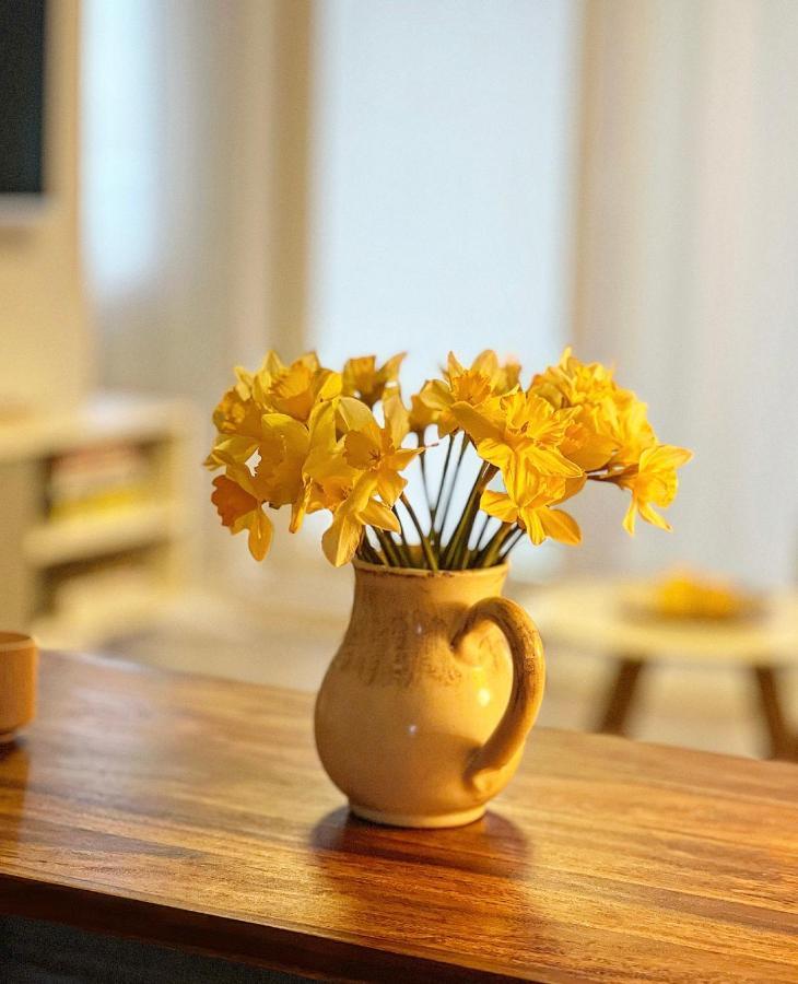 Apartament Nadbaltycki Swit - Gdynia Pogorze Zewnętrze zdjęcie